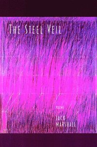 bokomslag The Steel Veil