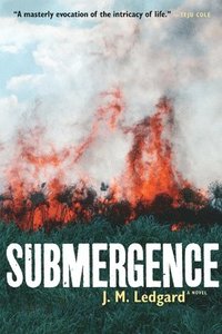 bokomslag Submergence