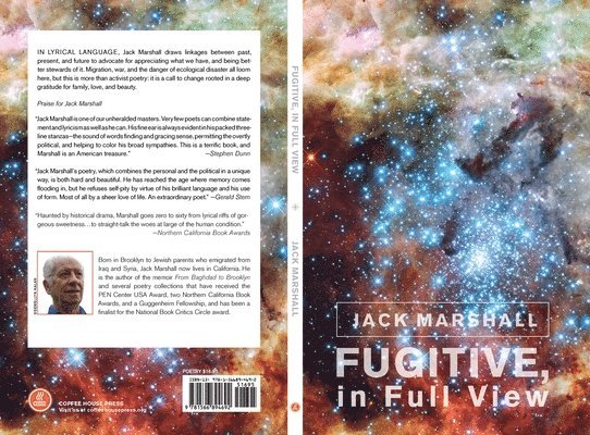 Fugitive, in Full View 1