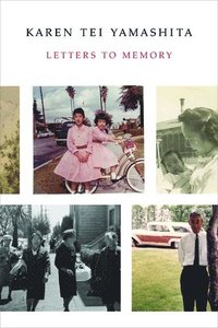 bokomslag Letters to Memory