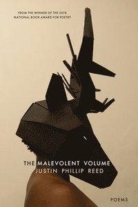 bokomslag The Malevolent Volume