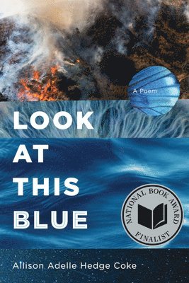 Allison Adelle Hedge Coke - Look at This Blue, Häftad