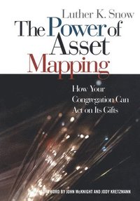 bokomslag The Power of Asset Mapping