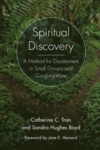 bokomslag Spiritual Discovery