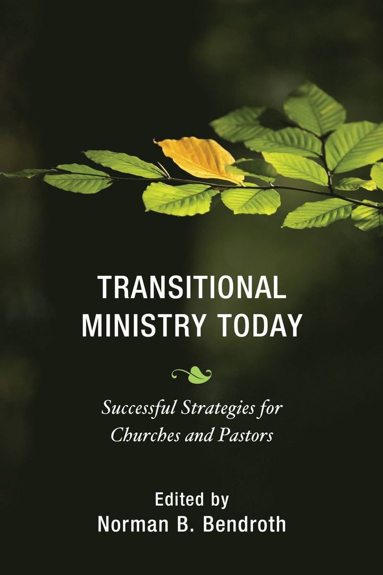 Transitional Ministry Today