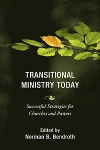 bokomslag Transitional Ministry Today