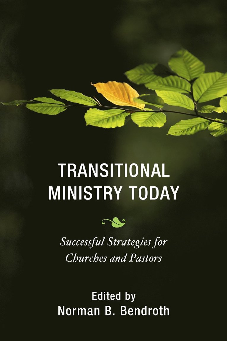 Transitional Ministry Today