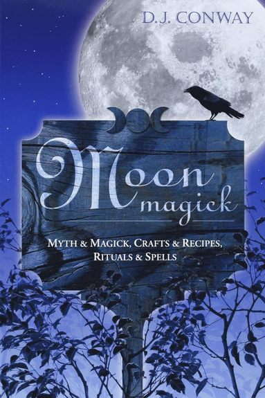 bokomslag Moon Magick