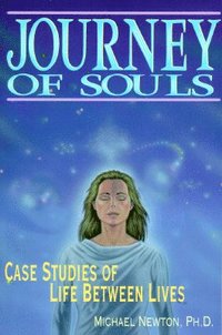 bokomslag Journey of Souls