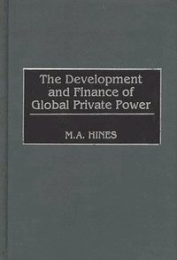 bokomslag The Development and Finance of Global Private Power