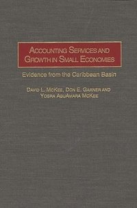 bokomslag Accounting Services and Growth in Small Economies