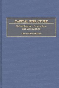 bokomslag Capital Structure