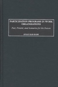 bokomslag Participation Programs in Work Organizations