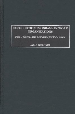 bokomslag Participation Programs in Work Organizations