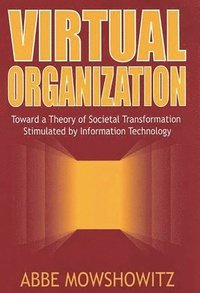 bokomslag Virtual Organization