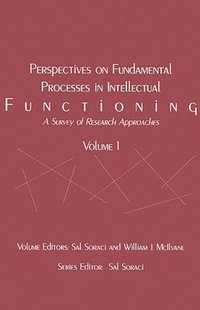 bokomslag Perspectives on Fundamental Processes in Intellectual Functioning
