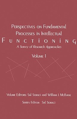 bokomslag Perspectives on Fundamental Processes in Intellectual Functioning