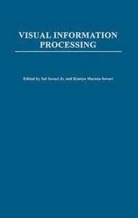 bokomslag Visual Information Processing