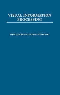 bokomslag Visual Information Processing