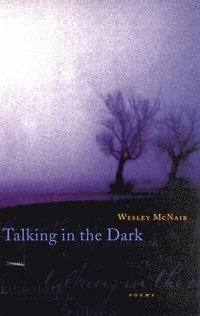 bokomslag Talking in the Dark