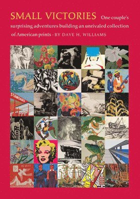 Dave H. Williams - Small Victories, Inbunden