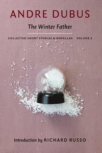 bokomslag Winter Father