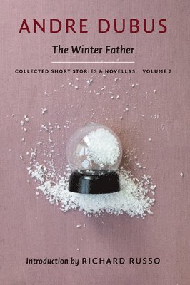 bokomslag Winter Father