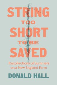 bokomslag String Too Short to Be Saved
