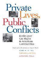 James Button - Private Live, Public Conflicts, Häftad