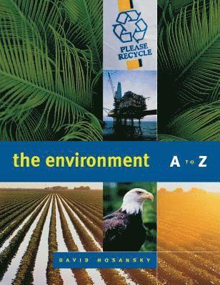 bokomslag Environment A To Z