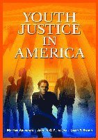 Jamin B. Raskin - Youth Justice in America, Inbunden