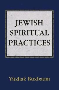 bokomslag Jewish Spiritual Practices