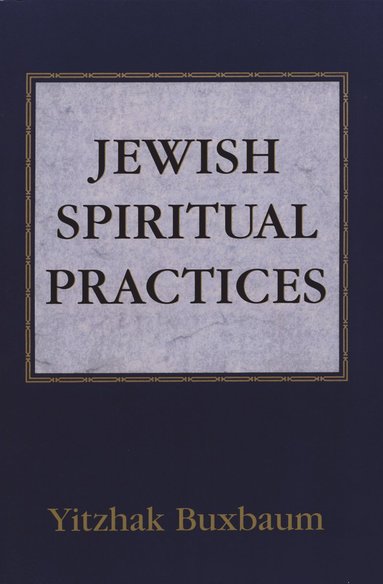 bokomslag Jewish Spiritual Practices