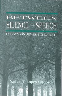 bokomslag Between Silence and Speech