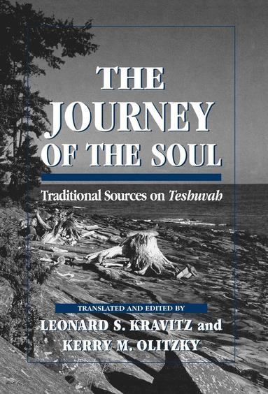 Leonard S. Kravitz, Kerry M. Olitzky - Journey of the Soul, Inbunden