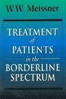 bokomslag Treatment of Patients in the Borderline Spectrum