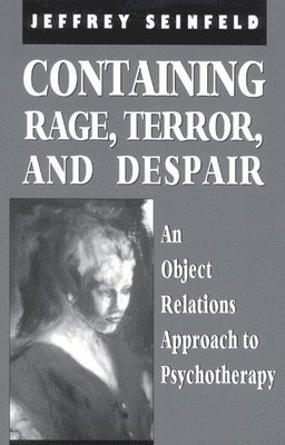 Jeffrey Seinfeld - Containing Rage, Terror and Despair, Inbunden