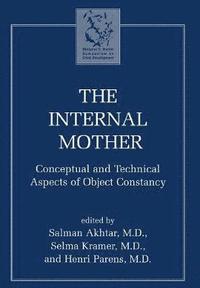 bokomslag Internal Mother