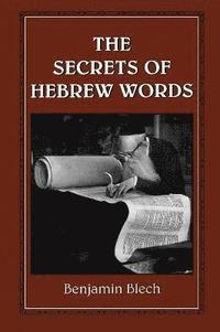 bokomslag The Secrets of Hebrew Words