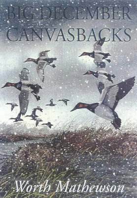 Big December Canvasbacks, Revised 1