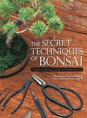 Masakuni Kawasumi - Secret Techniques of Bonsai, Inbunden