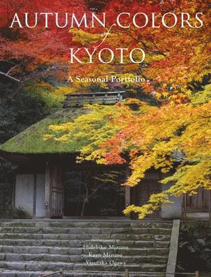 Autumn Colors of Kyoto: A Seasonal Portfolio 1