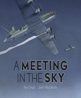 A Meeting in the Sky 1