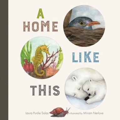 Laura Purdie Salas - A Home Like This, Kartonnage