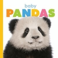 Kate Riggs - Baby Pandas, Kartonnage