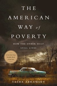 bokomslag The American Way of Poverty: How the Other Half Still Lives