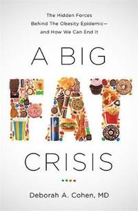 bokomslag A Big Fat Crisis