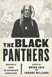 bokomslag The Black Panthers