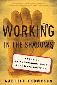 bokomslag Working in the Shadows: A Year of Doing the Jobs (Most) Americans Won't Do