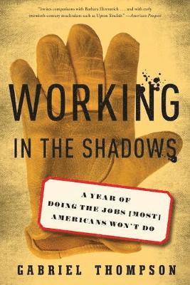 bokomslag Working in the Shadows